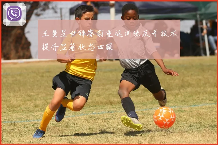 王曼昱世锦赛前重返训练反手技术提升显著状态回暖